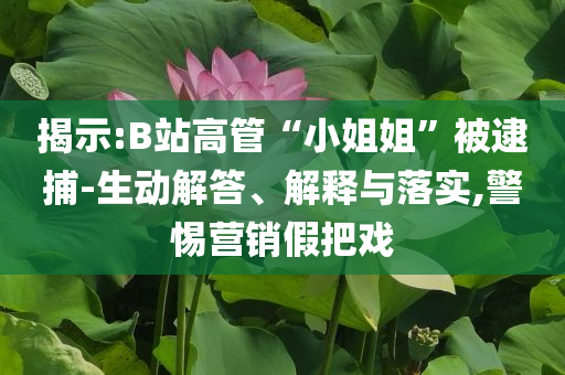 揭示:B站高管“小姐姐”被逮捕-生動解答、解釋與落實,警惕營銷假把戲