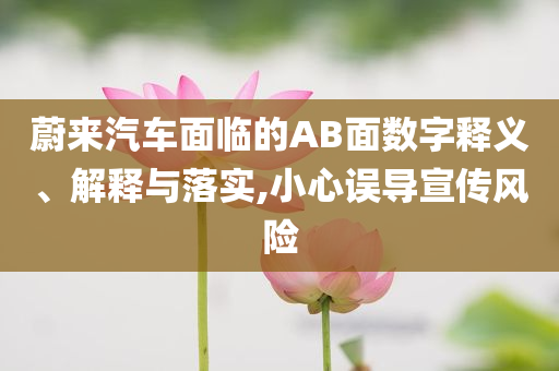 蔚來汽車面臨的AB面數(shù)字釋義、解釋與落實,小心誤導(dǎo)宣傳風(fēng)險