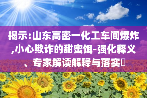 揭示:山東高密一化工車間爆炸,小心欺詐的甜蜜餌-強(qiáng)化釋義、專家解讀解釋與落實?