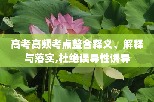 高考高頻考點(diǎn)整合釋義、解釋與落實(shí),杜絕誤導(dǎo)性誘導(dǎo)