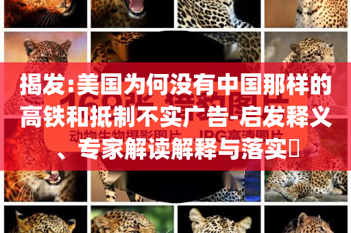 揭發(fā):美國為何沒有中國那樣的高鐵和抵制不實(shí)廣告-啟發(fā)釋義、專家解讀解釋與落實(shí)?
