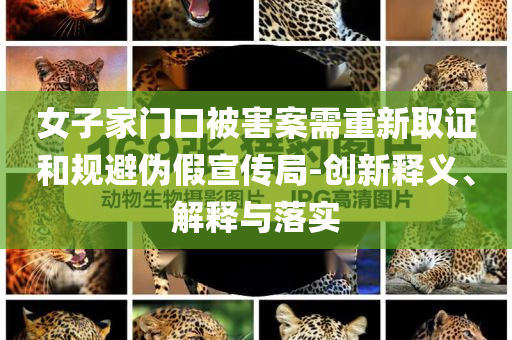 女子家門口被害案需重新取證和規(guī)避偽假宣傳局-創(chuàng)新釋義、解釋與落實