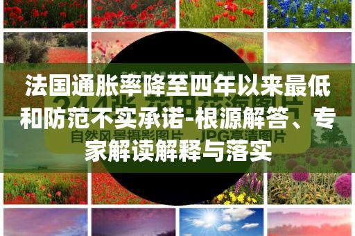 法國(guó)通脹率降至四年以來(lái)最低和防范不實(shí)承諾-根源解答、專家解讀解釋與落實(shí)