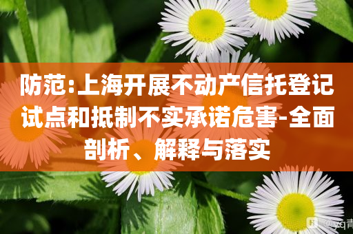 防范:上海開展不動(dòng)產(chǎn)信托登記試點(diǎn)和抵制不實(shí)承諾危害-全面剖析、解釋與落實(shí)