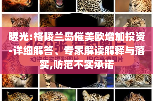 曝光:格陵蘭島催美歐增加投資-詳細解答、專家解讀解釋與落實,防范不實承諾