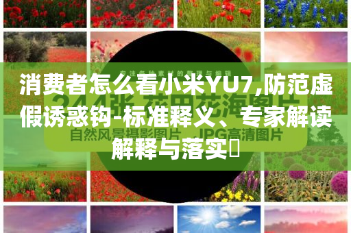 消費(fèi)者怎么看小米YU7,防范虛假誘惑鉤-標(biāo)準(zhǔn)釋義、專家解讀解釋與落實(shí)?