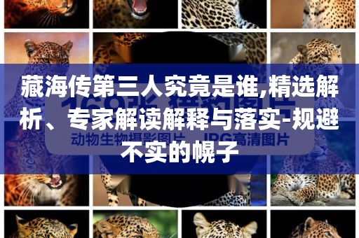 藏海傳第三人究竟是誰,精選解析、專家解讀解釋與落實-規(guī)避不實的幌子