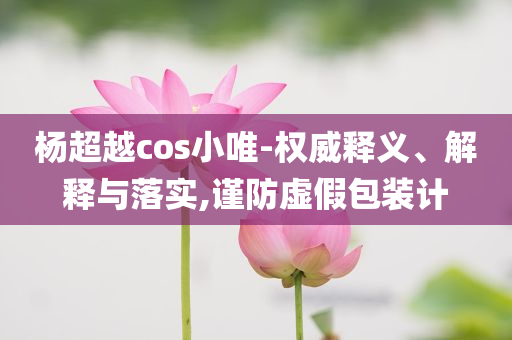 楊超越cos小唯-權(quán)威釋義、解釋與落實(shí),謹(jǐn)防虛假包裝計(jì)