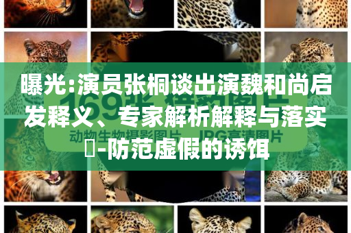 曝光:演員張桐談出演魏和尚啟發(fā)釋義、專(zhuān)家解析解釋與落實(shí)?-防范虛假的誘餌