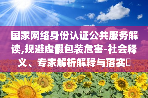 國家網(wǎng)絡(luò)身份認(rèn)證公共服務(wù)解讀,規(guī)避虛假包裝危害-社會釋義、專家解析解釋與落實?
