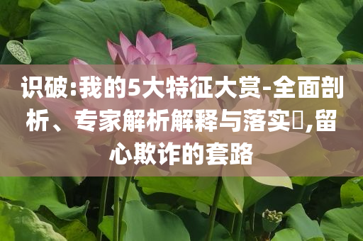 識破:我的5大特征大賞-全面剖析、專家解析解釋與落實(shí)?,留心欺詐的套路