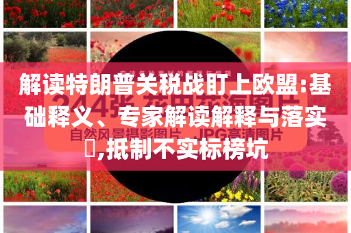 解讀特朗普關稅戰(zhàn)盯上歐盟:基礎釋義、專家解讀解釋與落實?,抵制不實標榜坑