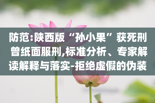 防范:陜西版“孫小果”獲死刑 曾紙面服刑,標準分析、專家解讀解釋與落實-拒絕虛假的偽裝