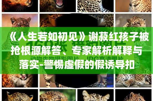 《人生若如初見》謝菽紅孩子被搶根源解答、專家解析解釋與落實(shí)-警惕虛假的假誘導(dǎo)扣