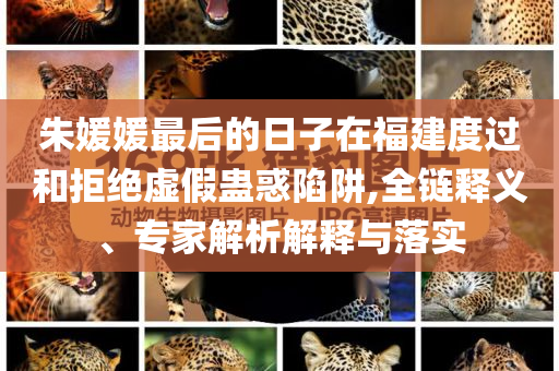朱媛媛最后的日子在福建度過和拒絕虛假蠱惑陷阱,全鏈釋義、專家解析解釋與落實