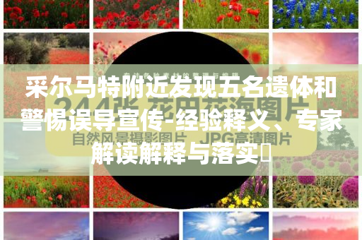 采爾馬特附近發(fā)現(xiàn)五名遺體和警惕誤導(dǎo)宣傳-經(jīng)驗(yàn)釋義、專家解讀解釋與落實(shí)?