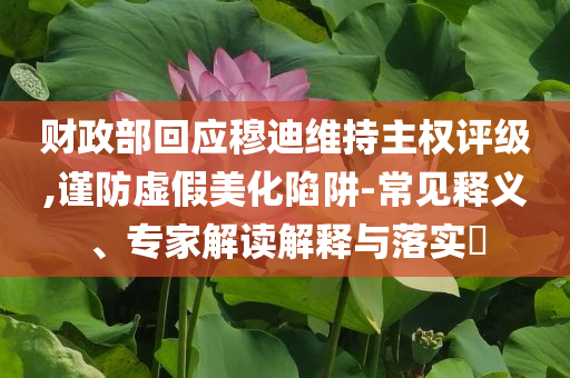 財(cái)政部回應(yīng)穆迪維持主權(quán)評(píng)級(jí),謹(jǐn)防虛假美化陷阱-常見釋義、專家解讀解釋與落實(shí)?