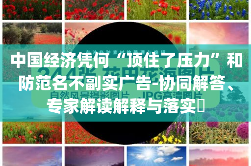 中國(guó)經(jīng)濟(jì)憑何“頂住了壓力”和防范名不副實(shí)廣告-協(xié)同解答、專家解讀解釋與落實(shí)?