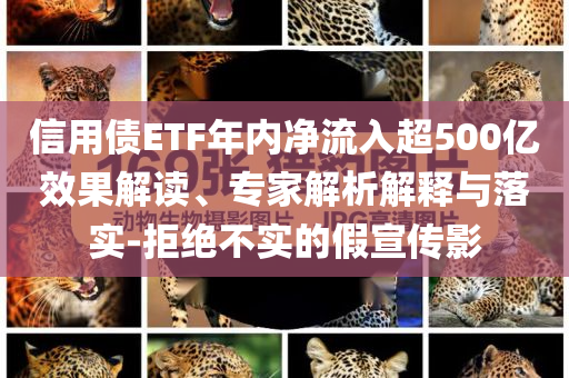 信用債ETF年內(nèi)凈流入超500億效果解讀、專家解析解釋與落實-拒絕不實的假宣傳影