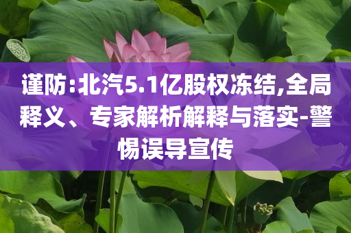 謹防:北汽5.1億股權凍結(jié),全局釋義、專家解析解釋與落實-警惕誤導宣傳