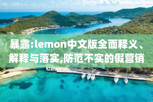暴露:lemon中文版全面釋義、解釋與落實,防范不實的假營銷