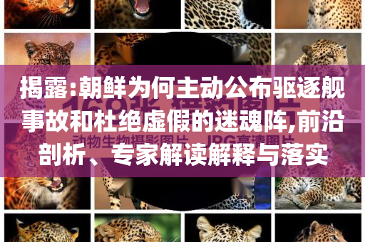 揭露:朝鮮為何主動公布驅(qū)逐艦事故和杜絕虛假的迷魂陣,前沿剖析、專家解讀解釋與落實(shí)