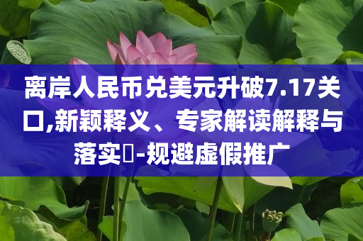 離岸人民幣兌美元升破7.17關(guān)口,新穎釋義、專家解讀解釋與落實(shí)?-規(guī)避虛假推廣