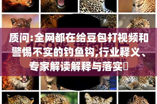 質(zhì)問:全網(wǎng)都在給豆包打視頻和警惕不實的釣魚鉤,行業(yè)釋義、專家解讀解釋與落實?