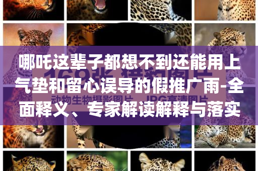 哪吒這輩子都想不到還能用上氣墊和留心誤導的假推廣雨-全面釋義、專家解讀解釋與落實