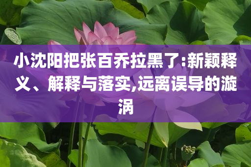 小沈陽把張百喬拉黑了:新穎釋義、解釋與落實,遠離誤導(dǎo)的漩渦