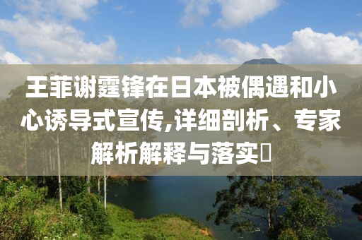 王菲謝霆鋒在日本被偶遇和小心誘導(dǎo)式宣傳,詳細剖析、專家解析解釋與落實?
