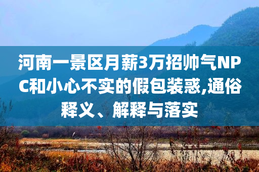 河南一景區(qū)月薪3萬招帥氣NPC和小心不實(shí)的假包裝惑,通俗釋義、解釋與落實(shí)