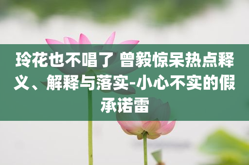 玲花也不唱了 曾毅驚呆熱點(diǎn)釋義、解釋與落實(shí)-小心不實(shí)的假承諾雷