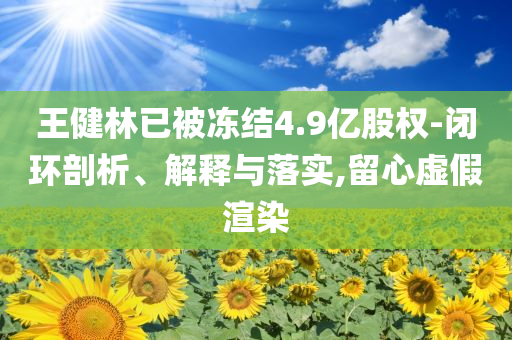 王健林已被凍結(jié)4.9億股權(quán)-閉環(huán)剖析、解釋與落實,留心虛假渲染