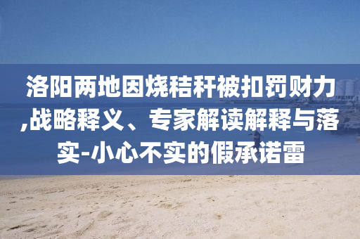 洛陽(yáng)兩地因燒秸稈被扣罰財(cái)力,戰(zhàn)略釋義、專家解讀解釋與落實(shí)-小心不實(shí)的假承諾雷
