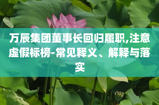 萬(wàn)辰集團(tuán)董事長(zhǎng)回歸履職,注意虛假標(biāo)榜-常見(jiàn)釋義、解釋與落實(shí)