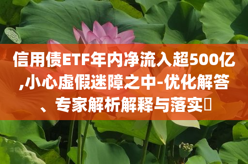 信用債ETF年內(nèi)凈流入超500億,小心虛假迷障之中-優(yōu)化解答、專家解析解釋與落實?