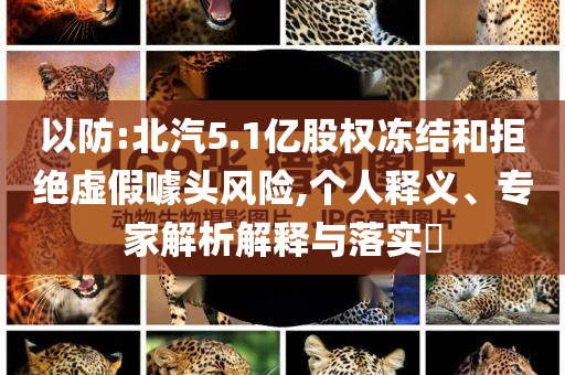 以防:北汽5.1億股權(quán)凍結(jié)和拒絕虛假噱頭風(fēng)險,個人釋義、專家解析解釋與落實?