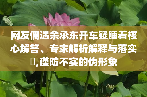 網(wǎng)友偶遇余承東開車疑睡著核心解答、專家解析解釋與落實?,謹防不實的偽形象