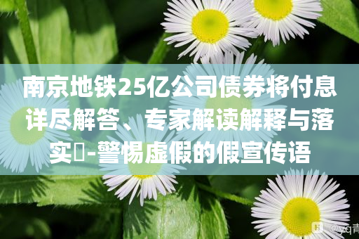 南京地鐵25億公司債券將付息詳盡解答、專家解讀解釋與落實?-警惕虛假的假宣傳語