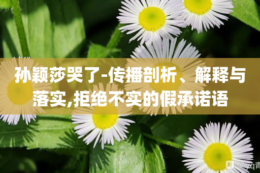 孫穎莎哭了-傳播剖析、解釋與落實(shí),拒絕不實(shí)的假承諾語