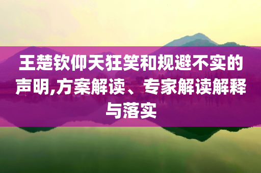 王楚欽仰天狂笑和規(guī)避不實(shí)的聲明,方案解讀、專家解讀解釋與落實(shí)