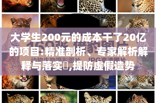 大學(xué)生200元的成本干了20億的項(xiàng)目:精準(zhǔn)剖析、專家解析解釋與落實(shí)?,提防虛假造勢(shì)