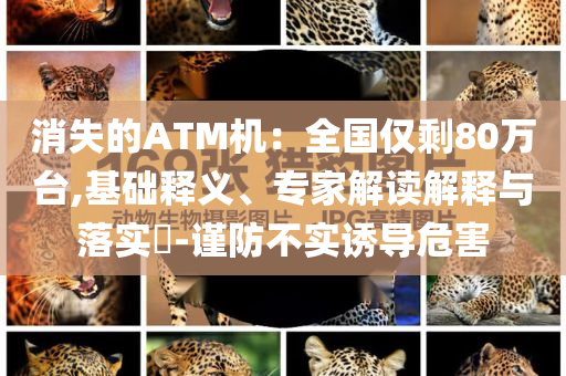 消失的ATM機：全國僅剩80萬臺,基礎(chǔ)釋義、專家解讀解釋與落實?-謹(jǐn)防不實誘導(dǎo)危害