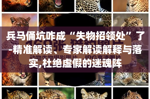 兵馬俑坑咋成“失物招領(lǐng)處”了-精準解讀、專家解讀解釋與落實,杜絕虛假的迷魂陣