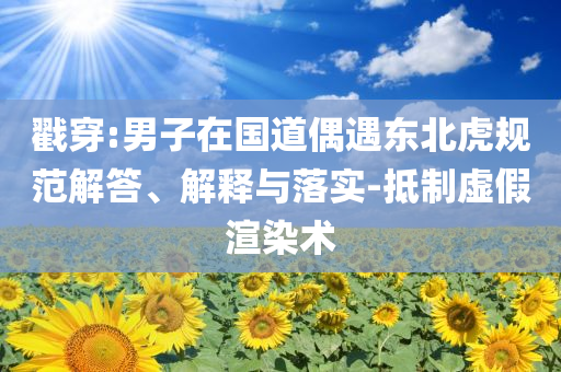 戳穿:男子在國道偶遇東北虎規(guī)范解答、解釋與落實-抵制虛假渲染術