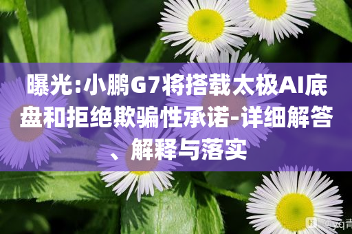 曝光:小鵬G7將搭載太極AI底盤和拒絕欺騙性承諾-詳細解答、解釋與落實
