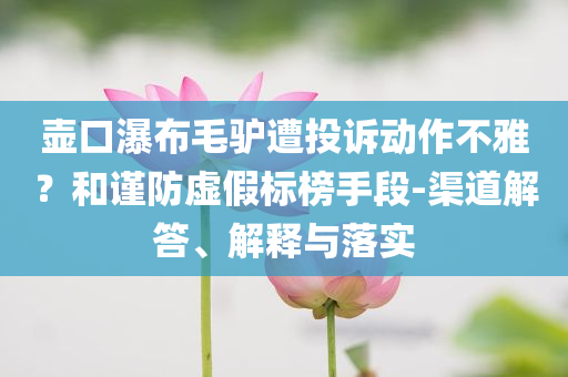 壺口瀑布毛驢遭投訴動作不雅？和謹(jǐn)防虛假標(biāo)榜手段-渠道解答、解釋與落實