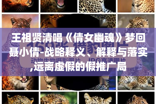 王祖賢清唱《倩女幽魂》夢(mèng)回聶小倩-戰(zhàn)略釋義、解釋與落實(shí),遠(yuǎn)離虛假的假推廣局