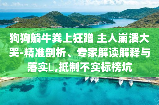 狗狗躺牛糞上狂蹭 主人崩潰大哭-精準剖析、專家解讀解釋與落實?,抵制不實標榜坑